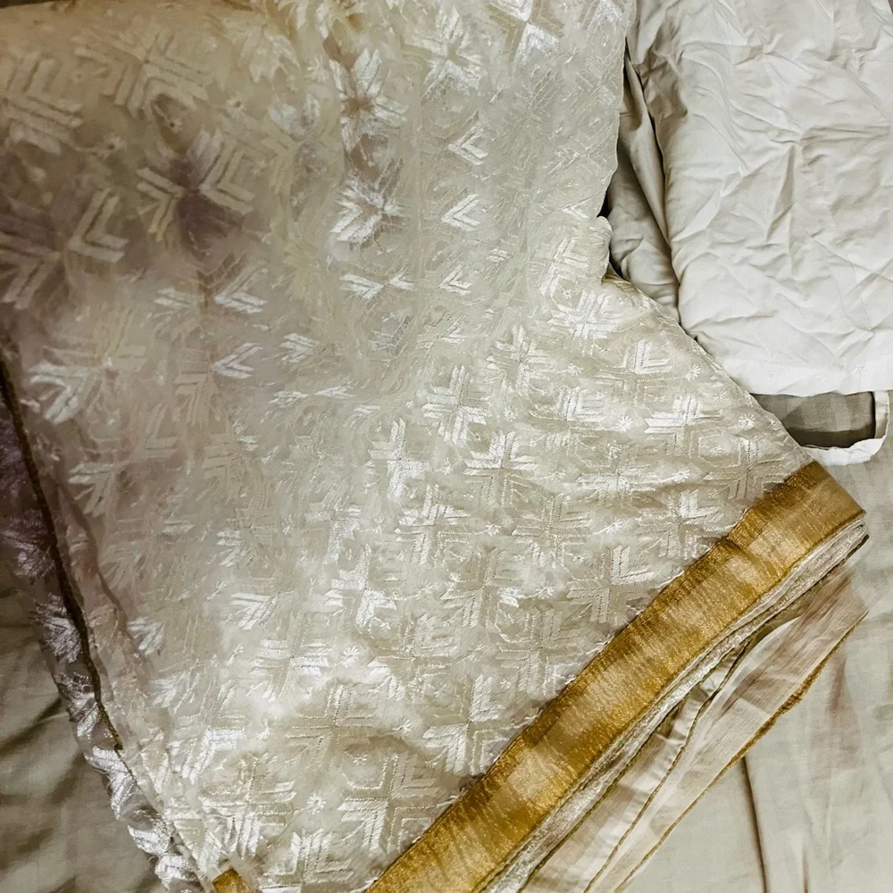 Lucknowi thread Embroidered Saree with slim Petticoat - Picture 3 of 15